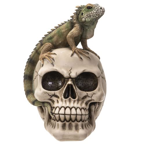 Iguana on Skull Figurine - 7.09-Inch Home Decor Collectible