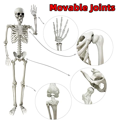 5.4Ft Halloween Skeleton with Movable Joints - Life Size Human Bones for Indoor Outdoor Decor