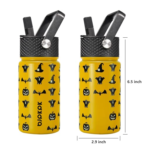 Insulated Water Bottle 15oz Stainless Steel with Straw Lid - Halloween Variation