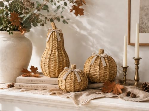 3-Piece Wicker Pumpkin Set for Fall Decor - Rustic Autumn Decoration