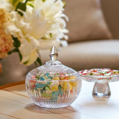 21oz Glass Candy Dish with Lid - Clear Crystal Cookie Jar, Food Storage