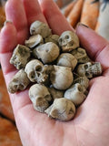 Mini Resin Skull Decor Set - Spooky Halloween Skeleton Head Figures, 20 Pieces