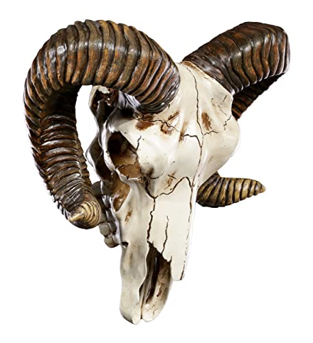 Ram Skull Wall Trophy Decor - Baphomet Horns 11 Inch Halloween & Day of the Dead