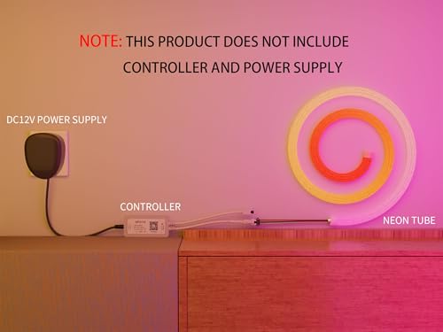 12V RGB Neon Rope Light 32.8FT LED Strip Waterproof Indoor Outdoor Decoration