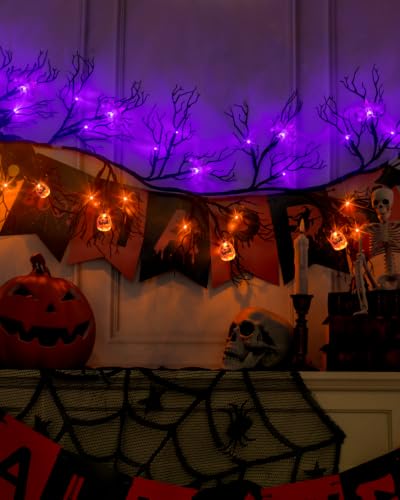 Halloween Vine Lights with Bat & Pumpkin - 9Ft, 66 LEDs, 8 Modes, Timer, Indoor Outdoor Decor