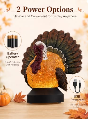 Thanksgiving Turkey Snow Globe Lantern - Fall Decor with Swirling Glitter & Timer - Lighted Halloween Tabletop Decoration - Battery & USB Powered - Thanksgiving Turkey Variation