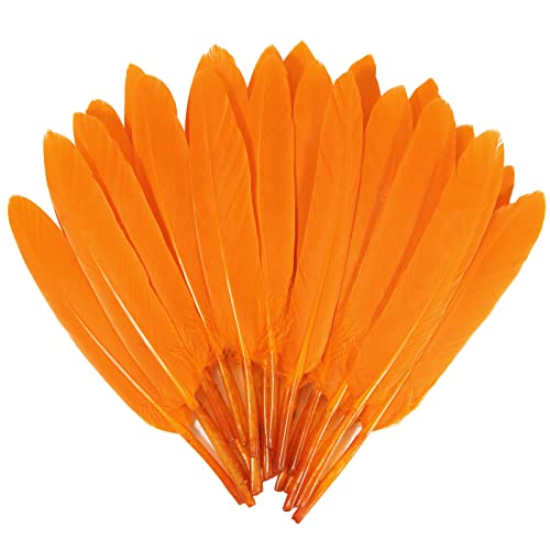 Orange Goose Cochettes Feather Bulk 120pcs 4-6 Inch for DIY Crafts & Decorations
