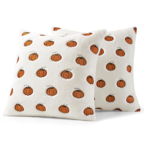 MIULEE Fall Pumpkin Embroidered Pillow Covers 18x18 - Rust & White, Pack of 2