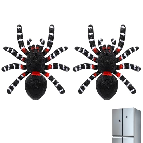 Wandering Spider 3D Refrigerator Magnet Set - Realistic Magnetic Spiders