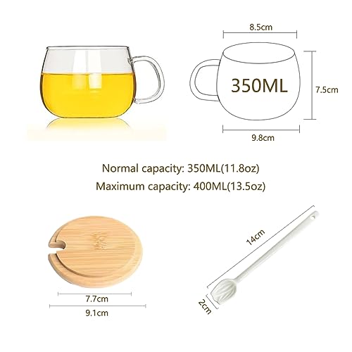 Belly Mug with Bamboo Lid & Tulip Spoon - 350ml Clear Glass Coffee Tea Cup