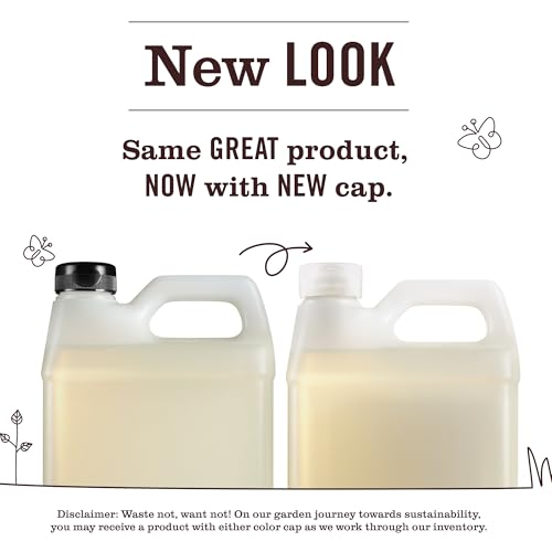MRS. MEYER'S CLEAN DAY Hand Soap Refill, Iowa Pine Scent, 33 Fl Oz Bottle