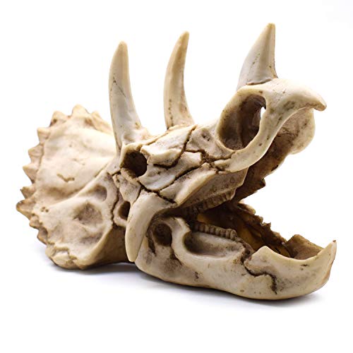 Resin Dinosaur Skeleton Triceratops Model - Decorative Home & Office Display