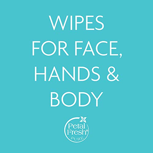Petal Fresh Soothing Aloe Vera Makeup Remover Wipes - Gentle Face Cleansing Towelettes, 60 Count