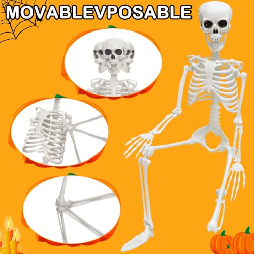 Gray 2-Pack Life Size Skeletons with Posable Joints for Halloween Decor - 3 Ft