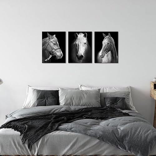Black White Horse Canvas Wall Art Set - 12x16 Inch Modern Horse Portraits