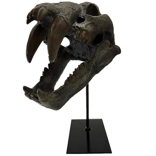 Museum-Quality Saber-Toothed Tiger Skull Replica - Prehistoric Fossil Decor Model