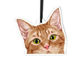 Acrylic Hanging Ornament for Christmas Tree Holiday Decor - Orange Tabby Kitten Cat