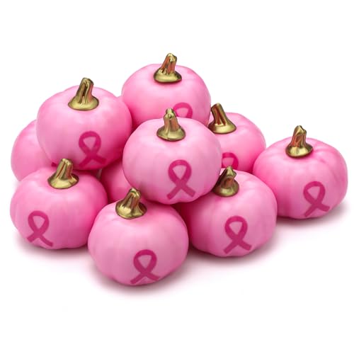 Pink Breast Cancer Awareness Pumpkins Bulk Decorations - Support Campaigns & Events