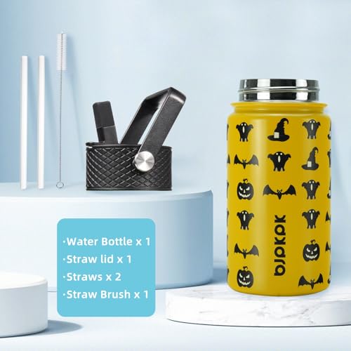 Insulated Water Bottle 15oz Stainless Steel with Straw Lid - Halloween Variation