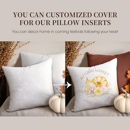 Set of 2 Square Feather Down Decorative Throw Pillows - Halloween & Christmas Customizable Home Decor