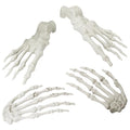 Halloween Skeleton Hands and Foot Set - Realistic Life Size Plastic Decor - Hands & Foot Variation