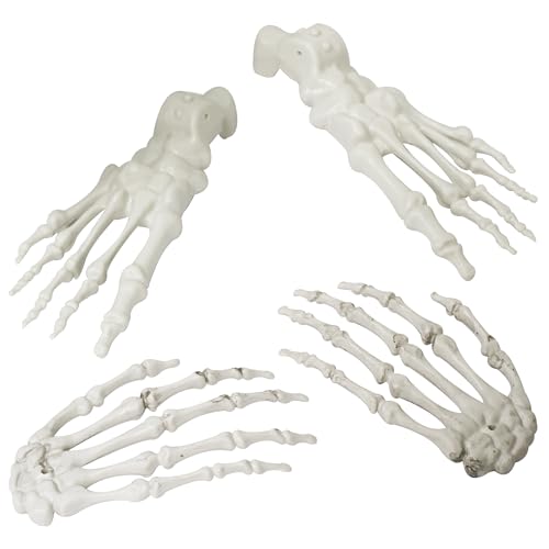 Halloween Skeleton Hands and Foot Set - Realistic Life Size Plastic Decor - Hands & Foot Variation