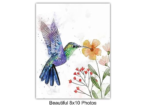 Boho Hummingbirds Wall Art Print - Shabby Chic Farmhouse Decor for Bedroom & Living Room