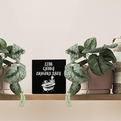 Dark Academia Skeleton Wooden Sign Decor - Funny Gothic Bathroom Wall Art