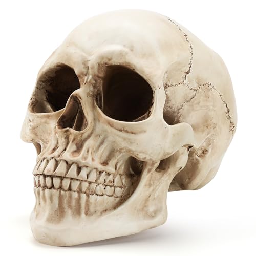 Realistic Resin Skull Decoration for Halloween & Home Decor - Gothic Skeleton Head Statue