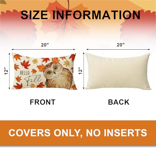 Fall Owl Bird Lumbar Throw Pillow Cover 12x20 - Autumn Decor Variation of THIS listing: Fall Owl / 20" x 12"