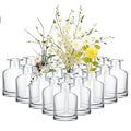 24 Pack Small Clear Glass Bud Vases - Vintage Rustic Table Centerpieces - 2.8 Inch