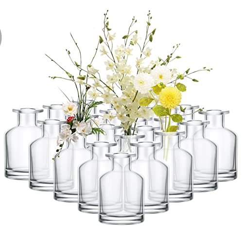 24 Pack Small Clear Glass Bud Vases - Vintage Rustic Table Centerpieces - 2.8 Inch