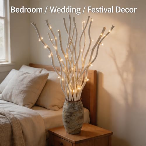 White Dried Curly Willow Branches - 15 Stems, 18-19 Inch Natural Birch Decor