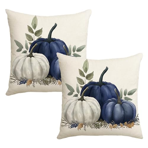 Blue Fall Pumpkin Pillow Covers Set of 2 - 18x18 Inch Autumn Decor