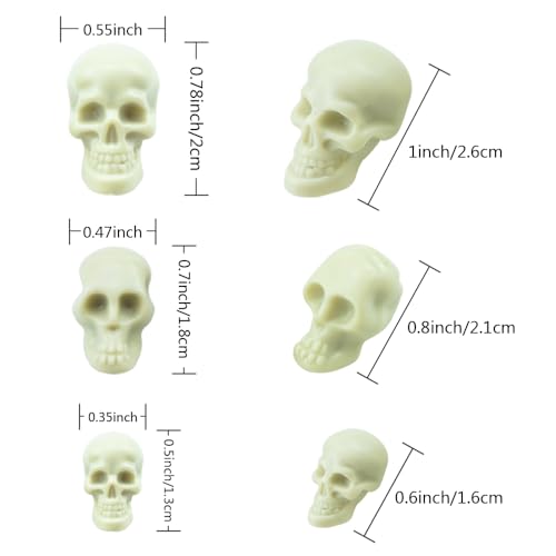 Mini Plastic Skull Decor Set - Halloween Skeleton Heads for Crafts, Parties & Home