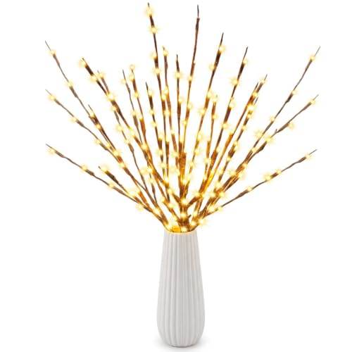 LED Branch Lights Battery Operated 30 Inch 20 Warm White Bulbs - 10 Pack, Flexible Willow Tree Filler