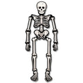 Halloween 1 Pack Jumbo Skeleton Balloon - 79 Inch Foil Halloween Decoration