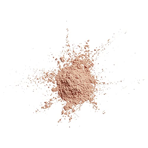 Loose Translucent Light Finishing Powder - 0.7oz, Sets Makeup & Controls Shine - Variation 110