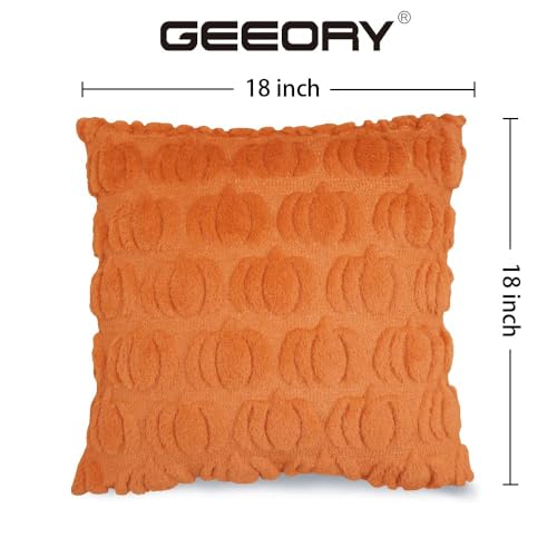 Autumn Pumpkin Faux Fur Pillow Cover Set - 18x18 Inch, Pack of 2, Fall Decor