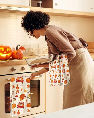 Kitchen Towels Set 2 Harvest Cotton Flax Sack Dish Hand Towels Quick Dry