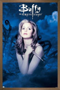Buffy the Vampire Slayer Season 1 Wall Poster - Bronze Frame, 22.37" x 34" - Modern Decor