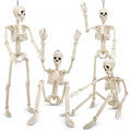Halloween Skeleton Decoration Set - Life Size Posable Human Skeletons 4 Pack