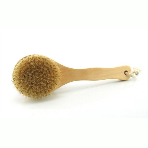 HiKin 9.84 Inch Dry Body Brush Back Scrubber, Wooden Short Handle Natural Bristles Bath & Shower Brush.