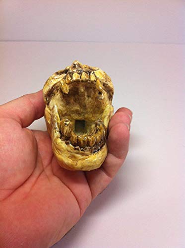 Aztec Death Whistle - Skull Handcrafted Loud Ear-Piercing Sound