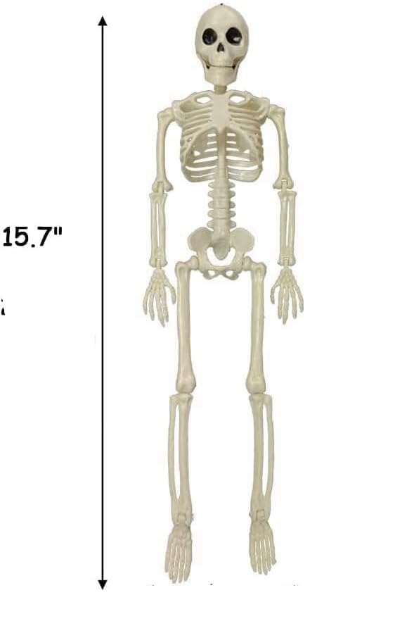 16-Inch Plastic Full Body Skeleton Halloween Decoration - Posable Hanging Skeleton for Haunted House & Graveyard Props