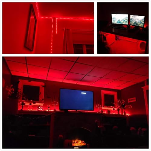 100Ft Waterproof LED Rope Lights - Outdoor Decorative String Light for Indoor & Garden - Christmas Red Variation