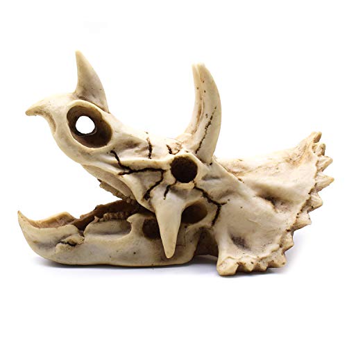 Resin Dinosaur Skeleton Triceratops Model - Decorative Home & Office Display
