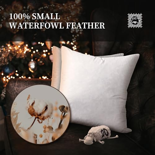 Euro Throw Pillow Set 2 Pack - 26x26 Inch Medium Firm Cotton Cushions