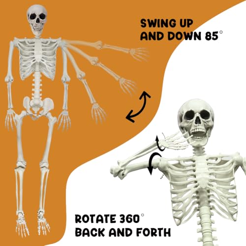 5.9FT Poseable Life Size Skeleton for Halloween Garden Party Decoration - 1 PCS