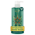 Frosted Citrus Liquid Hand Soap 15.5 oz - Micellar Deep Cleansing & Bacteria Removal